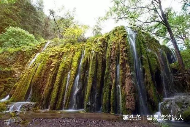一个人生活，可以培养哪些高雅的爱好？游戏画面